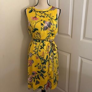 Ann Taylor LOFT Dress size L